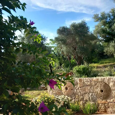 Apartmán Desanti 3 *