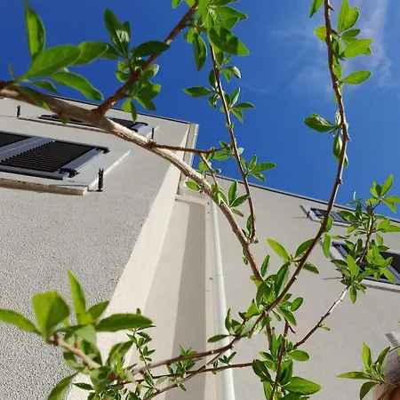 Desanti 3 Valun